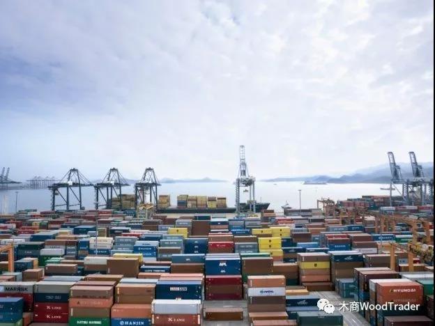 太倉港木材進口量創(chuàng)歷史性記錄！(圖1)